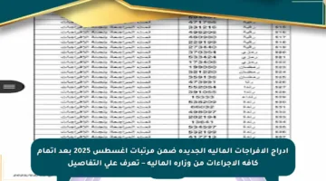 إدراج الإفراجات المالية الجديدة ضمن مرتبات أغسطس 2025 بعد إتمام كافة الإجراءات من وزارة المالية – تعرف على التفاصيل